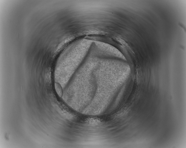 X0000099500207200806051131