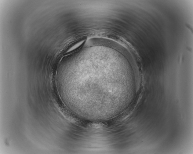 X0000099500209200806051131