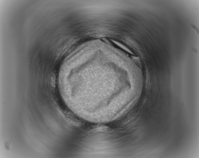 X0000099500210200806051131