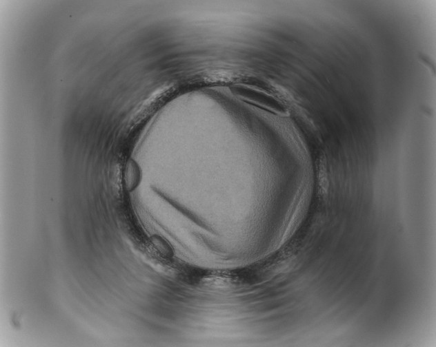 X0000099500211200806051131