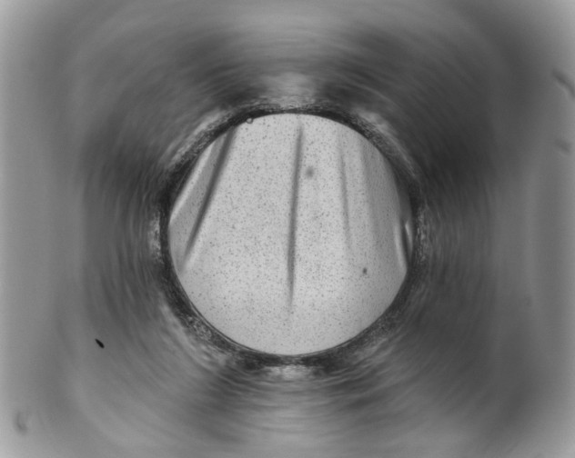 X0000099500212200806051131