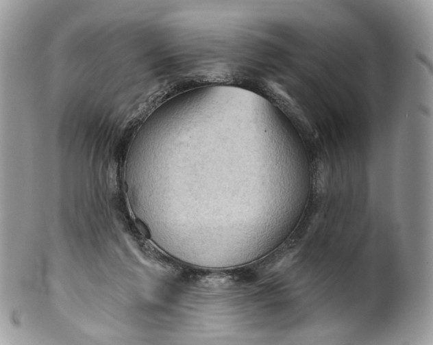 X0000099500213200806051131