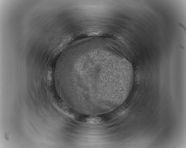 X0000099500215200806051131