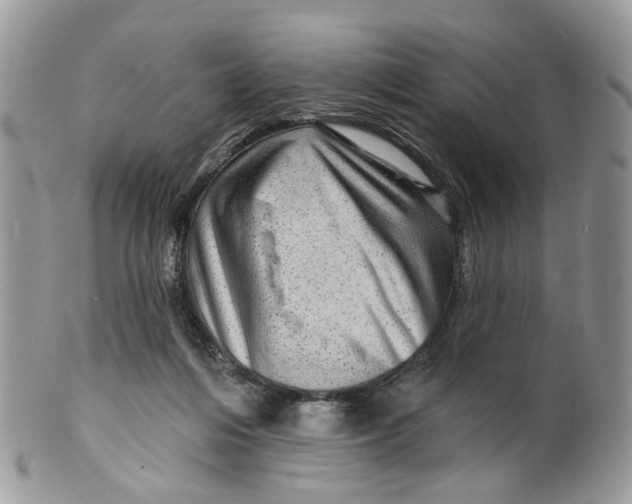 X0000099500216200806051131