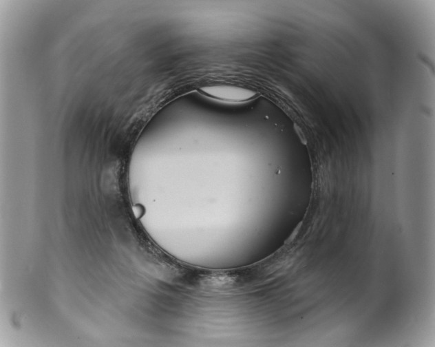 X0000099500217200806051131