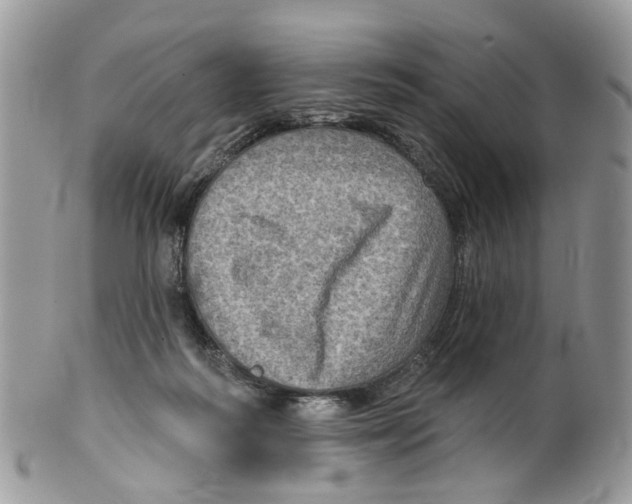 X0000099500218200806051131