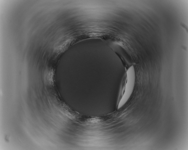 X0000099500219200806051131