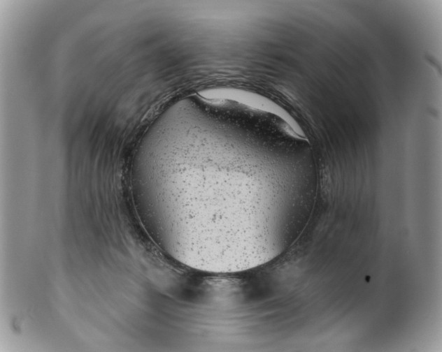 X0000099500221200806051131