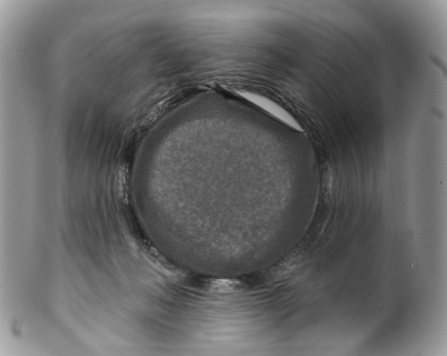 X0000099500222200806051131