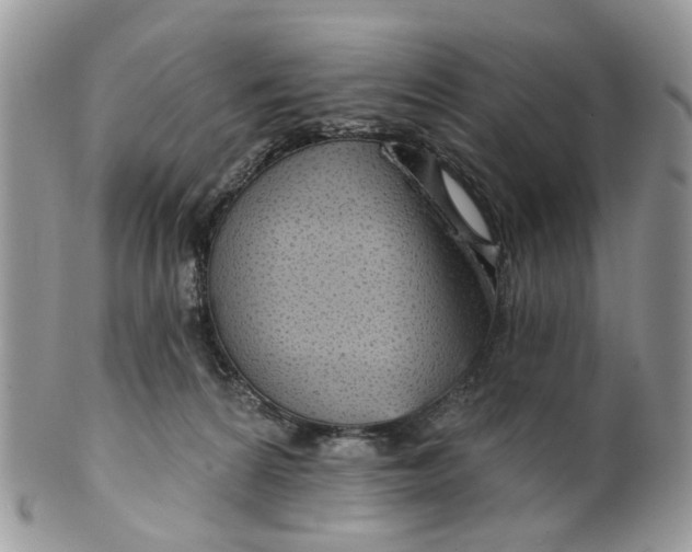 X0000099500224200806051131