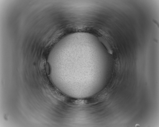 X0000099500225200806051131