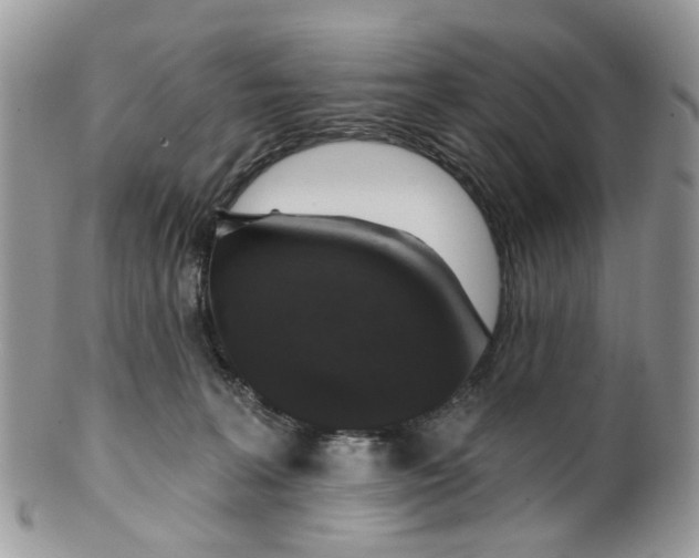 X0000099500227200806051131