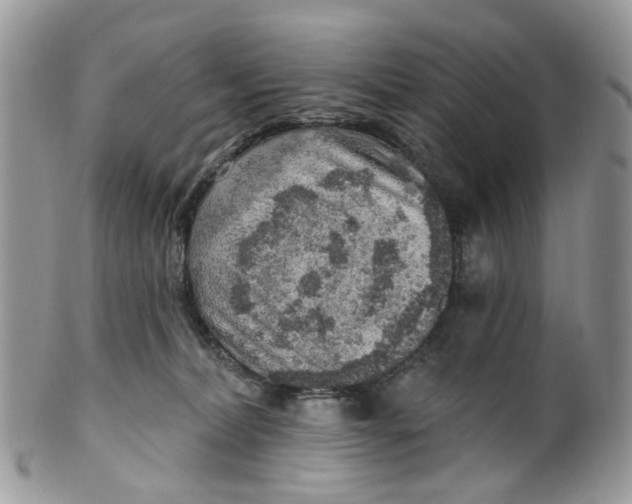 X0000099500228200806051131