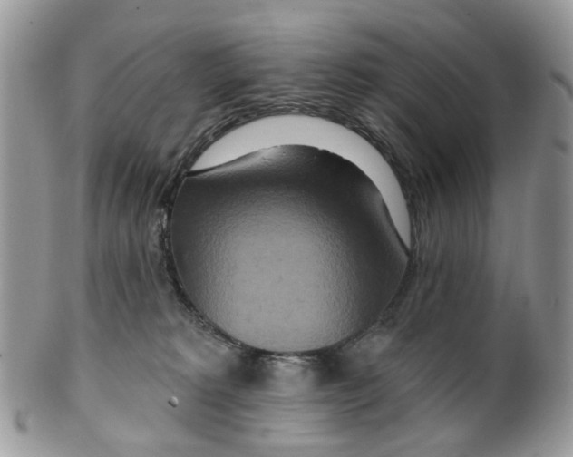 X0000099500229200806051131