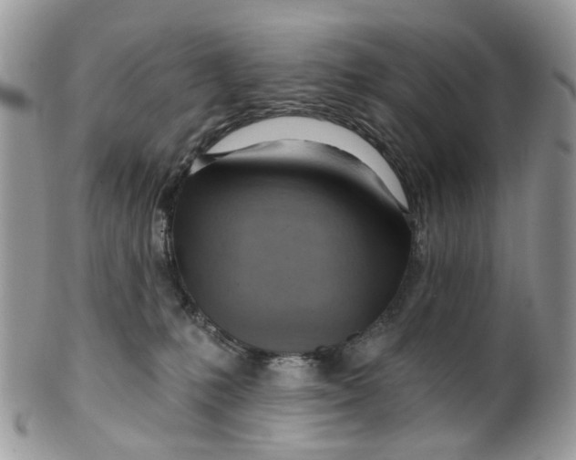 X0000099500231200806051130