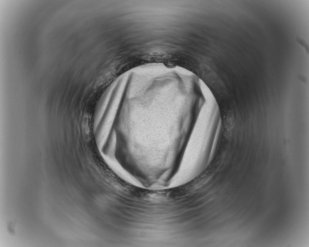 X0000099500232200806051130