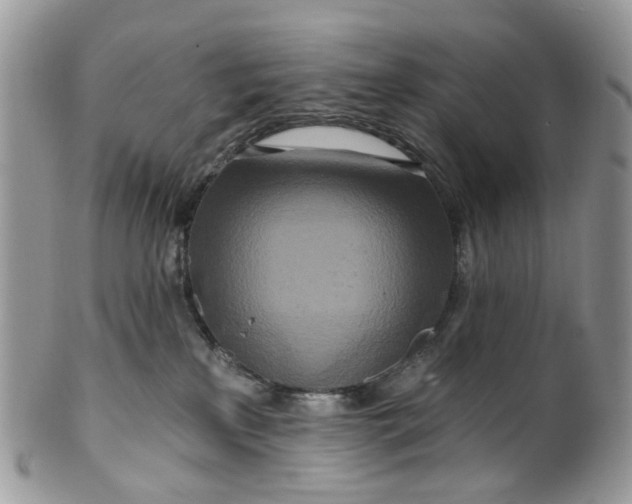 X0000099500233200806051130