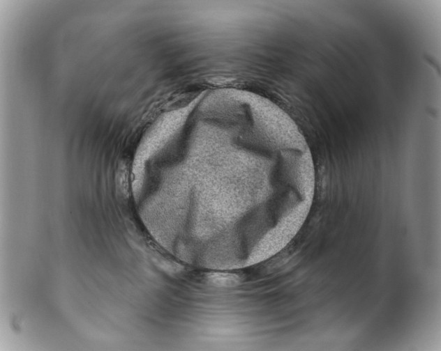 X0000099500234200806051130