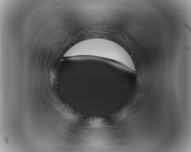 X0000099500235200806051130