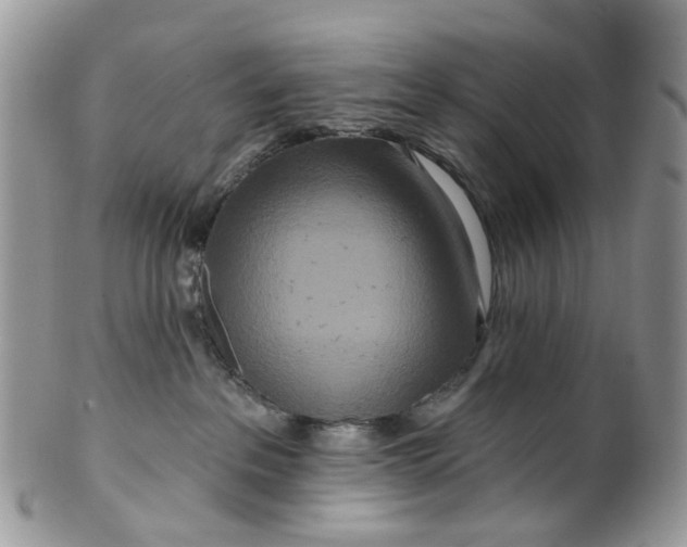 X0000099500237200806051130