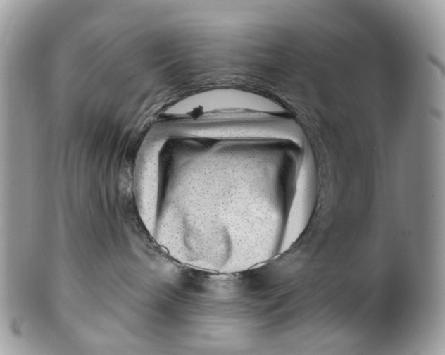 X0000099500240200806051130