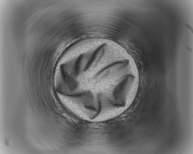 X0000099500241200806051129