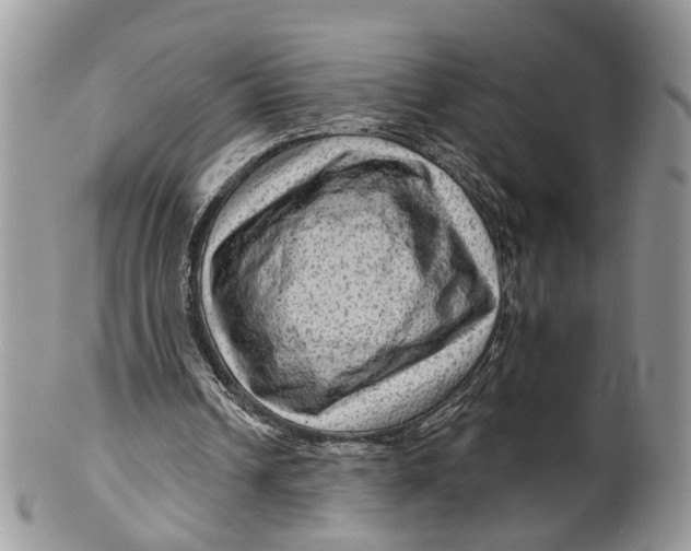 X0000099500242200806051129