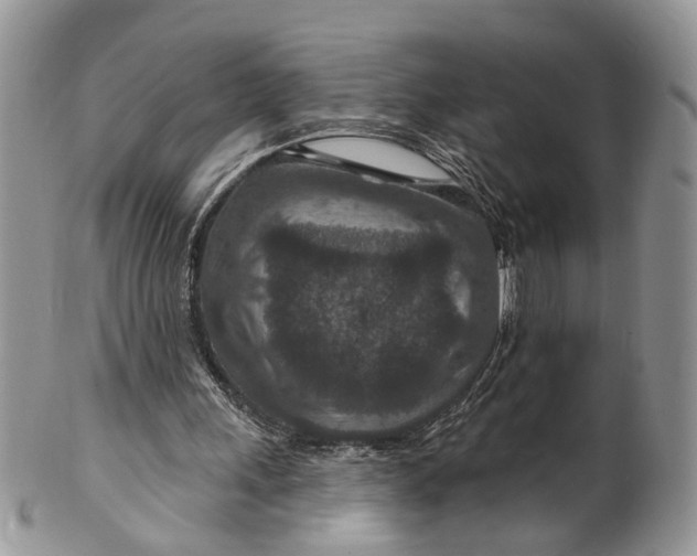 X0000099500243200806051129