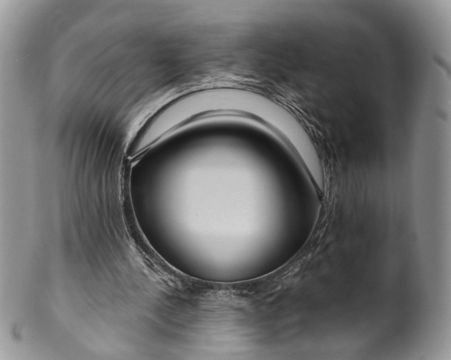 X0000099500244200806051129