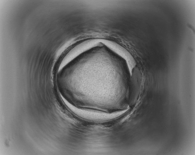 X0000099500246200806051130