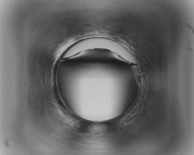 X0000099500248200806051130