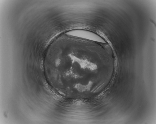 X0000099500249200806051130