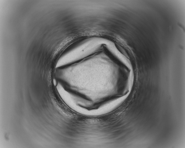 X0000099500250200806051130