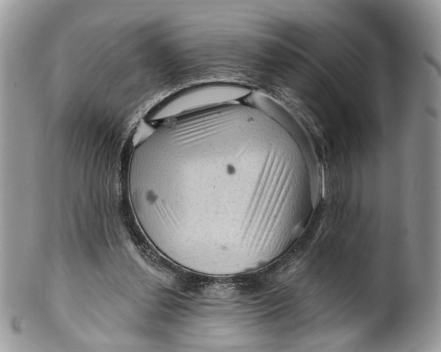 X0000099500252200806051130