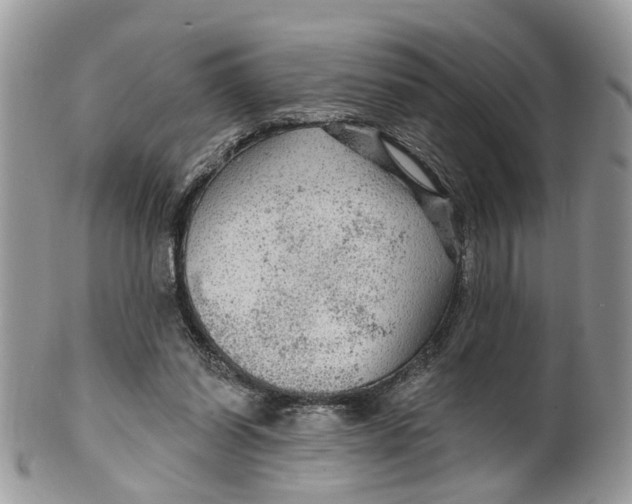 X0000099500254200806051130