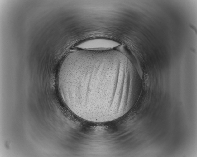 X0000099500255200806051130