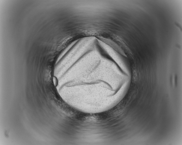 X0000099500259200806051130