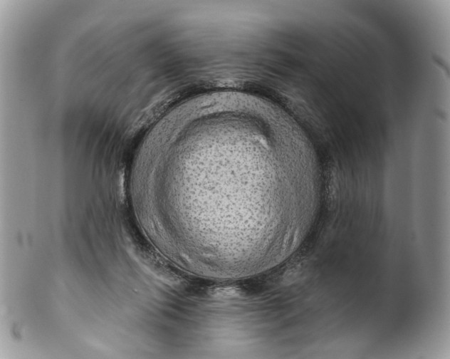 X0000099500262200806051130