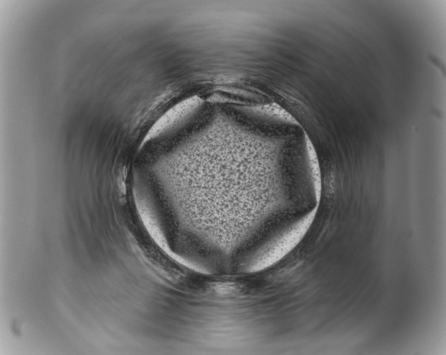 X0000099500264200806051130