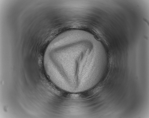 X0000099500265200806051130