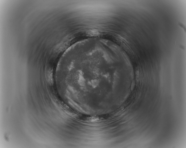 X0000099500267200806051130