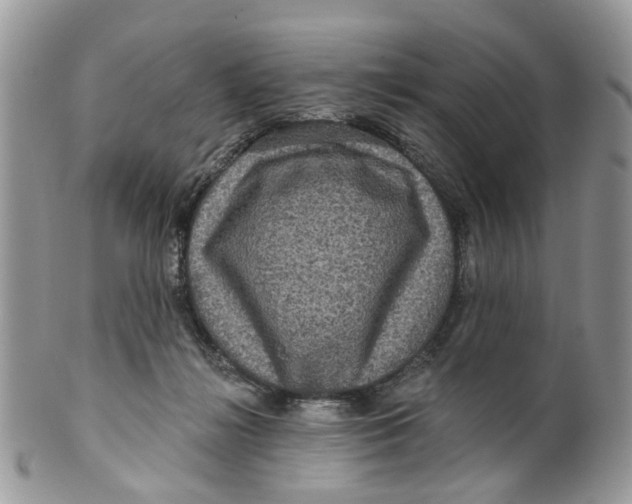 X0000099500268200806051130