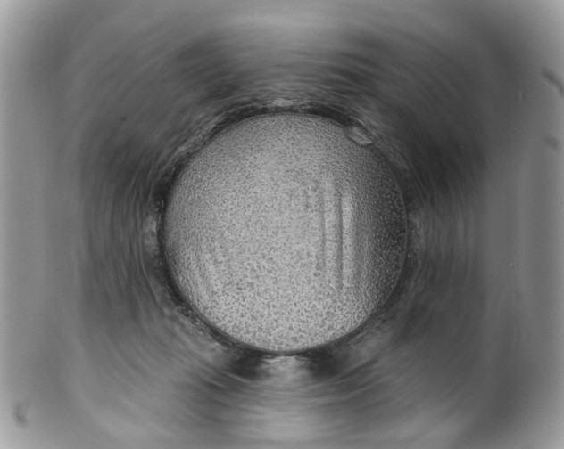 X0000099500269200806051130