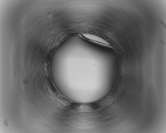 X0000099500270200806051130