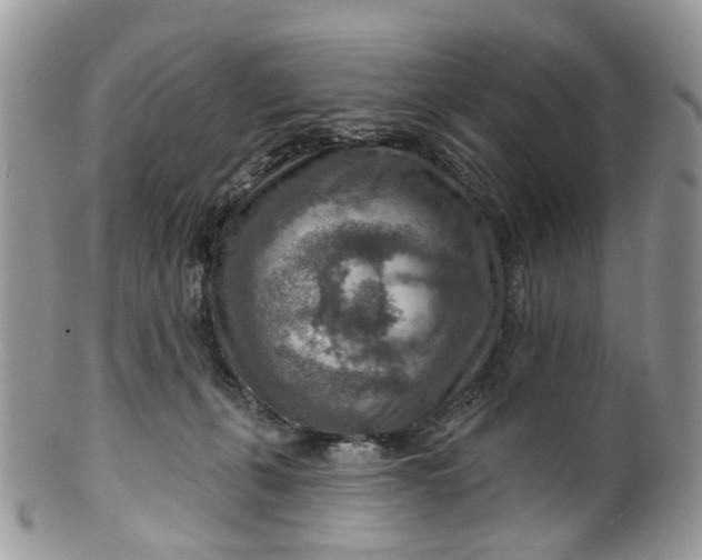 X0000099500271200806051130