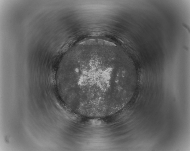 X0000099500272200806051130