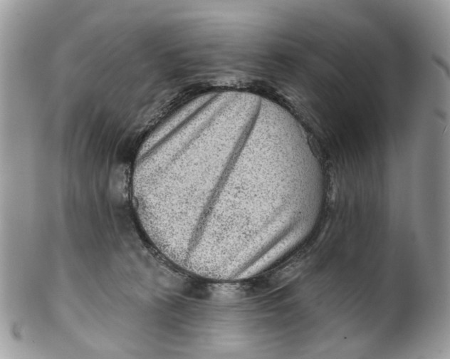 X0000099500273200806051130