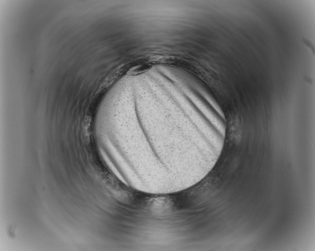 X0000099500275200806051130