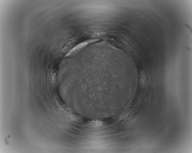 X0000099500276200806051130