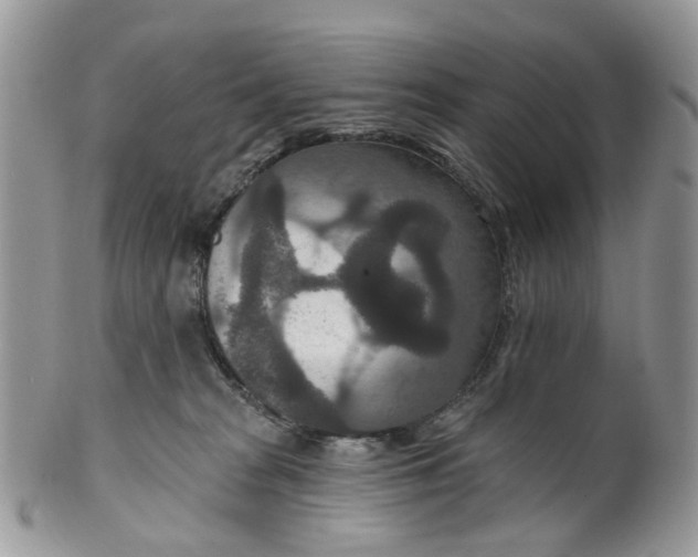 X0000099500277200806051130